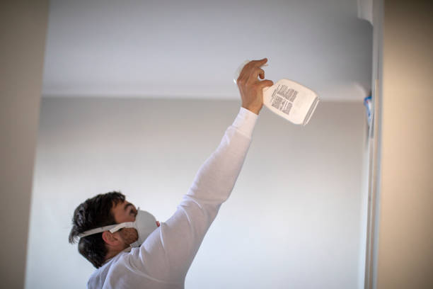 Best Mold Remediation  in Goulds, FL