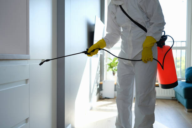 Best Professional Mold Removal  in Goulds, FL