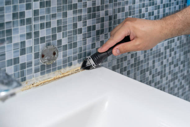 Best Toxic Mold Removal  in Goulds, FL