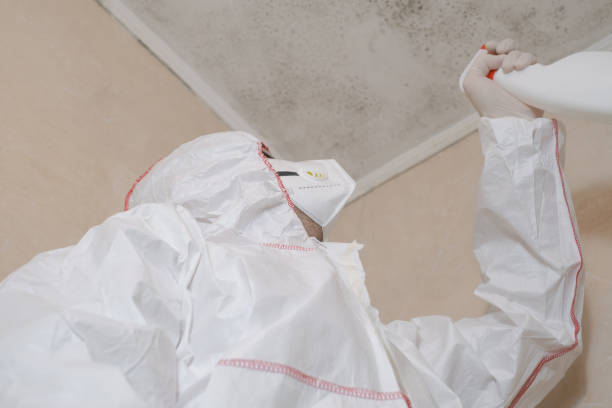 Best Residential Mold Removal  in Goulds, FL